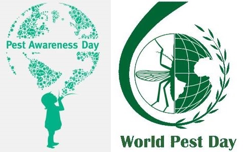 6 de junio, Día Internacional del Control de Plagas